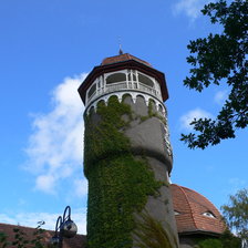 Схема вышивки «Раушен»