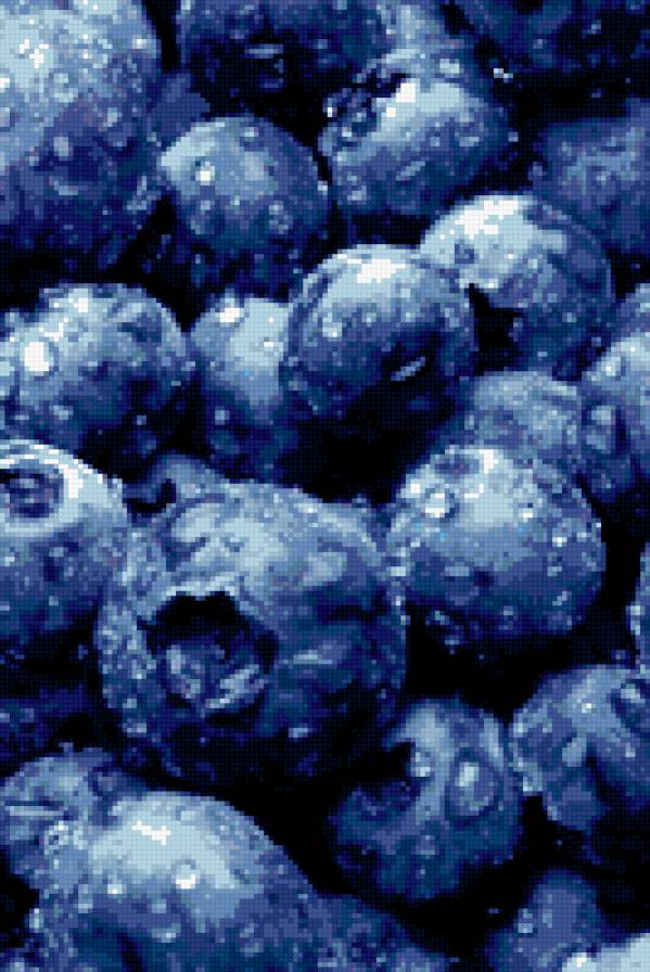 черника - ягода, черника, ягодка - предпросмотр