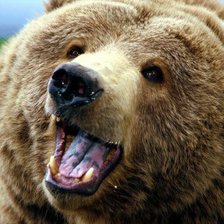 Схема вышивки «мишутка»