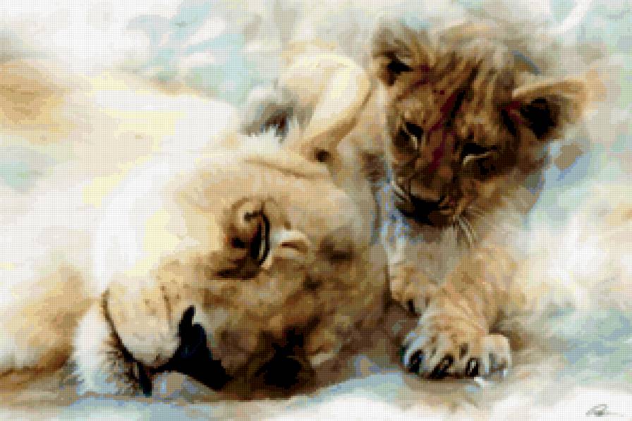 львы - животные - предпросмотр