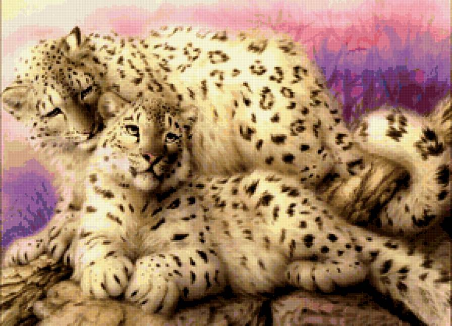 снежные барсы - животные - предпросмотр