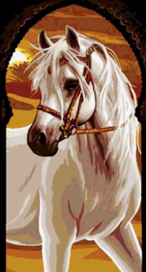 НЕВЕСТА АГУРБАШ - восточная порода, самка, в ожидани, красавица, лошади, животные - предпросмотр