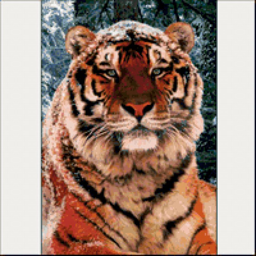 тигр - кошки, животные, тигры - предпросмотр