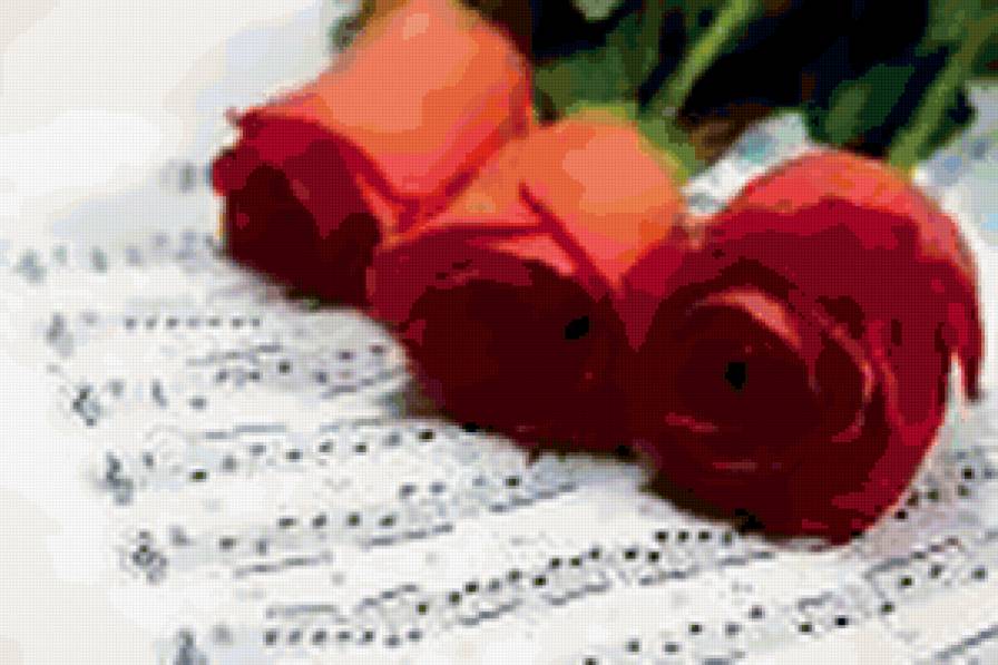 Музыка цветов - цветы, ноты, розы, музыка - предпросмотр