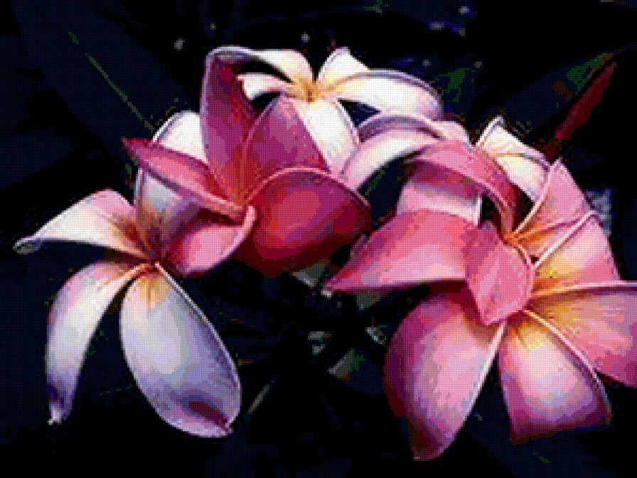 лилии - цветы, лилии, букет - предпросмотр