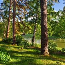 Схема вышивки «№234686»