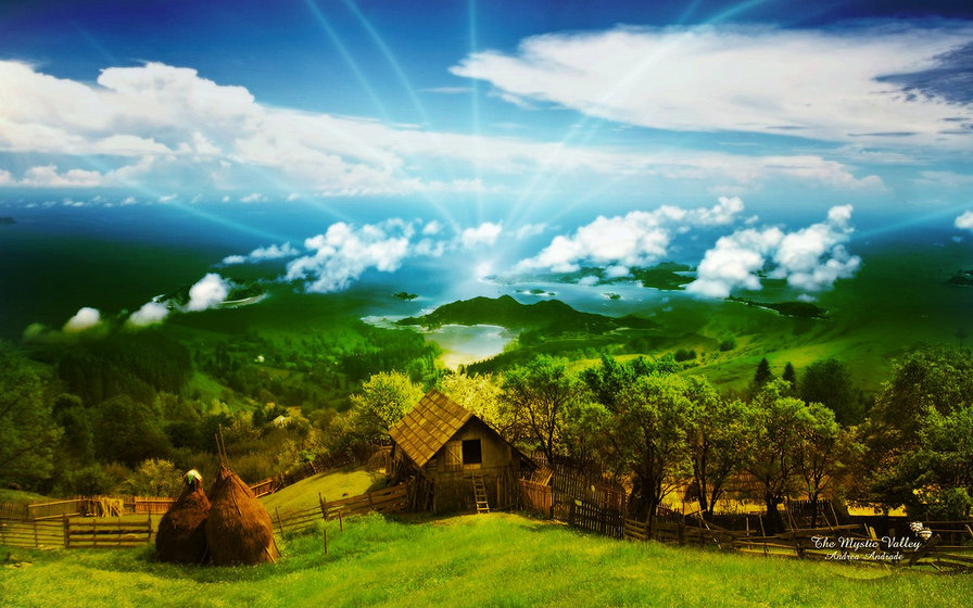 №234692 - оригинал