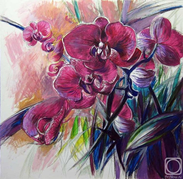 №234735 - оригинал