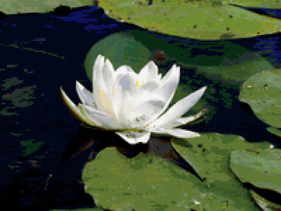 №234751 - предпросмотр