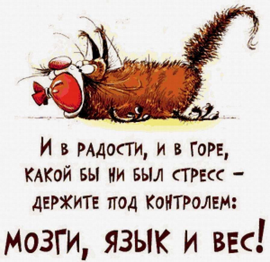 Прикол - шутка, юмор, кот - предпросмотр