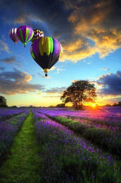 На большом воздушном шаре - воздушный шар, закат, пейзаж - оригинал