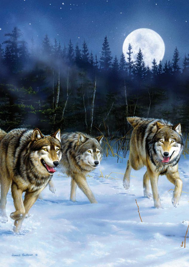 №235083 - оригинал