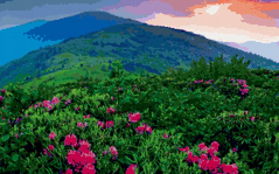 Горный пейзаж - горы, пейзаж, цветы - предпросмотр