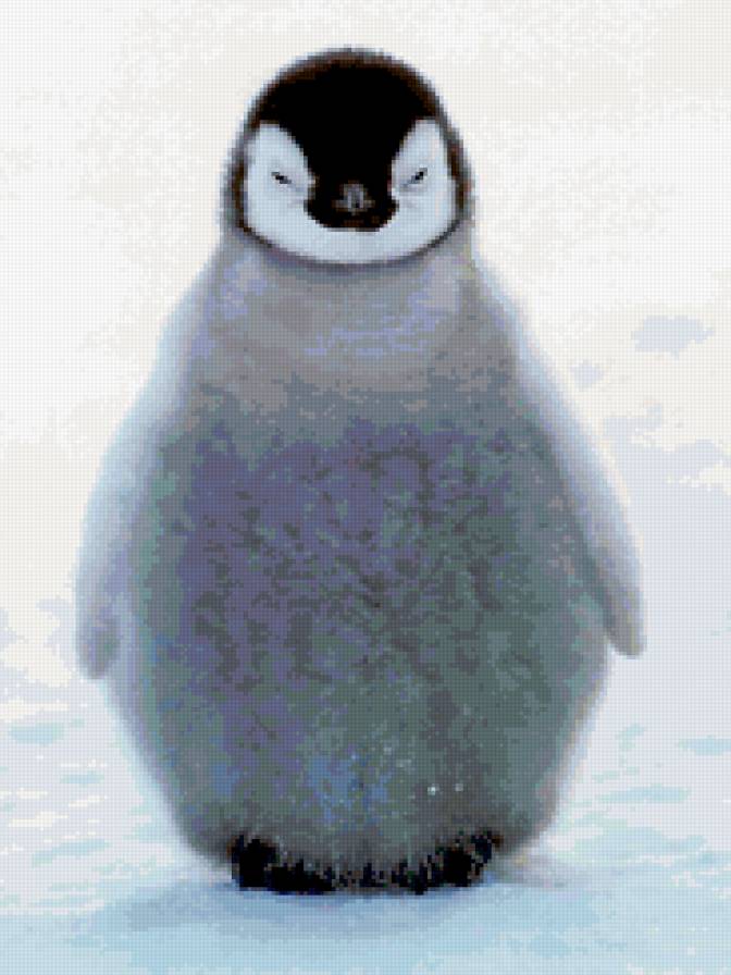 Малыш - пингвин - предпросмотр