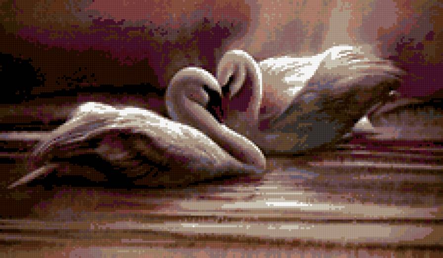 лебеди - любовь, нежность, природа, птицы - предпросмотр