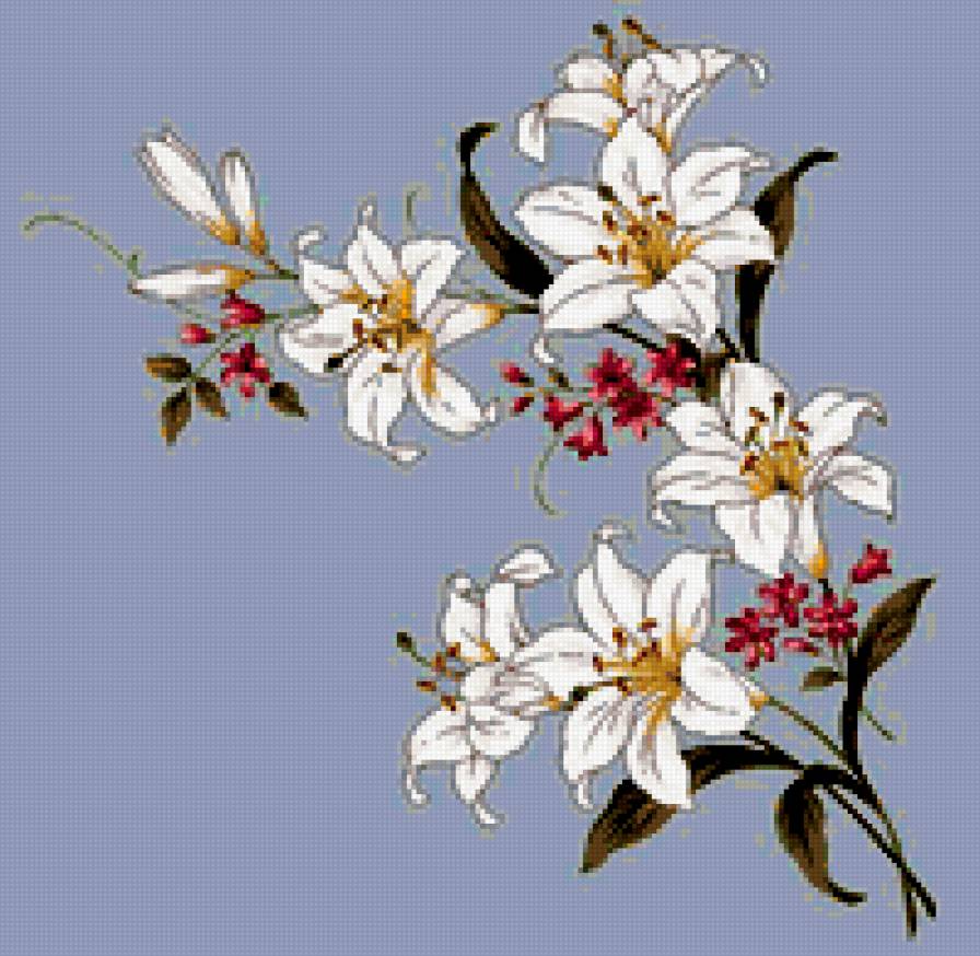 лилии - букет, лилии, цветы - предпросмотр