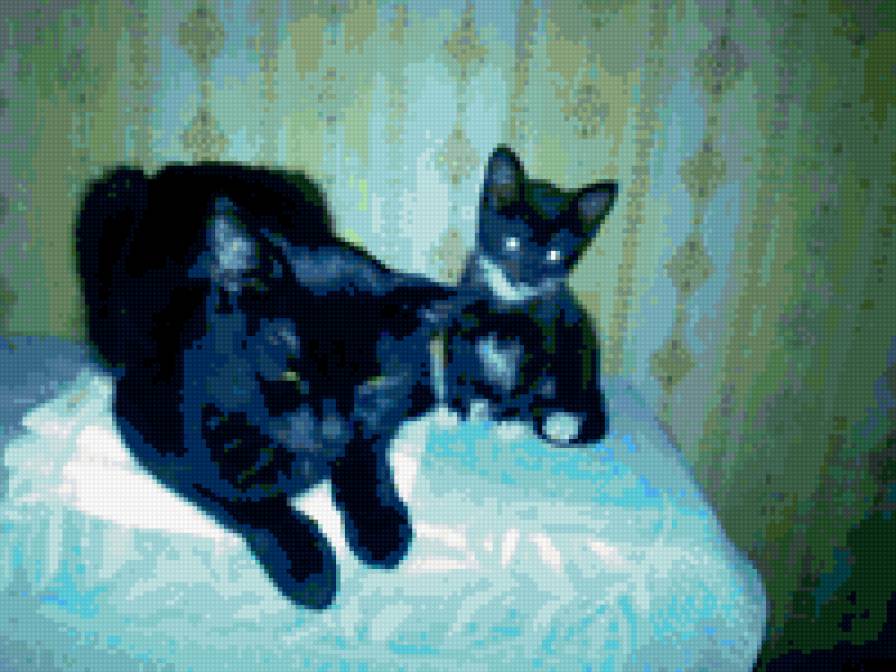 Кот и маленькая кошка - животные - предпросмотр