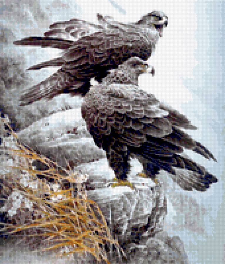 орлы - птицы - предпросмотр