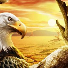 Схема вышивки «орел2»