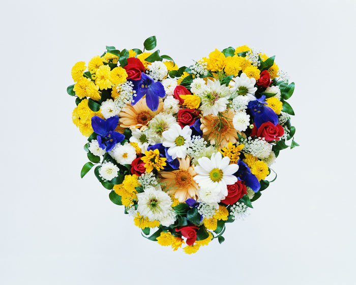 сердце - цветы, букет, ромашки - оригинал