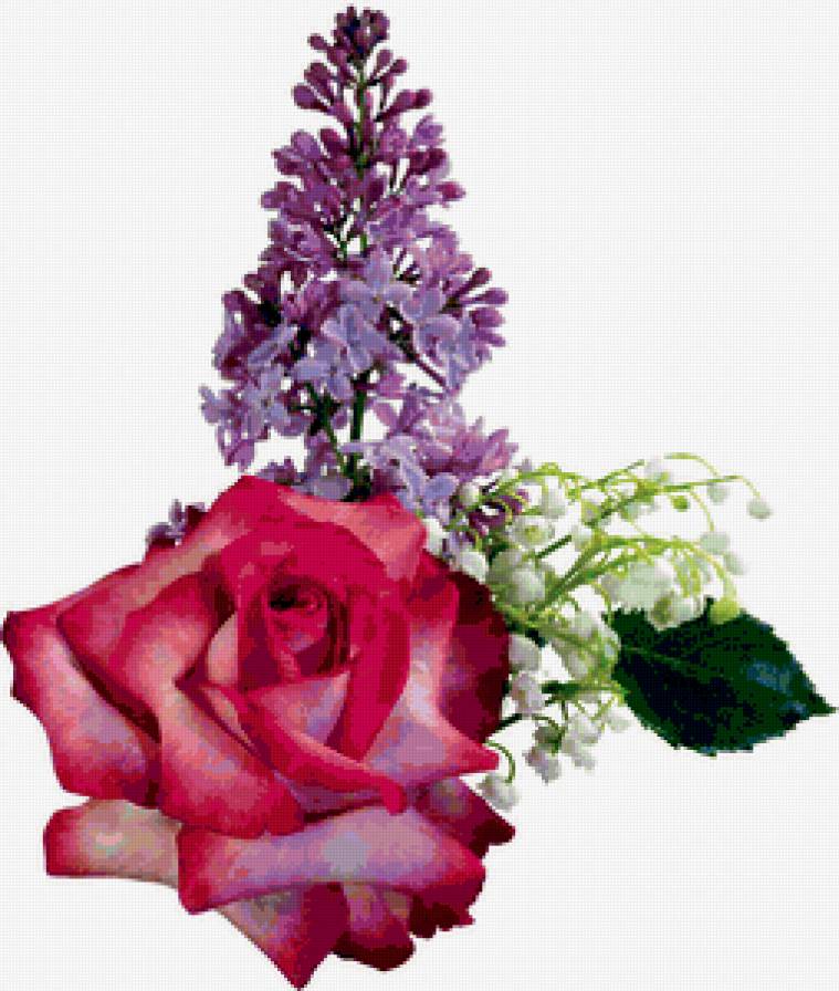 букет - цветы, сирень, розы, букет - предпросмотр