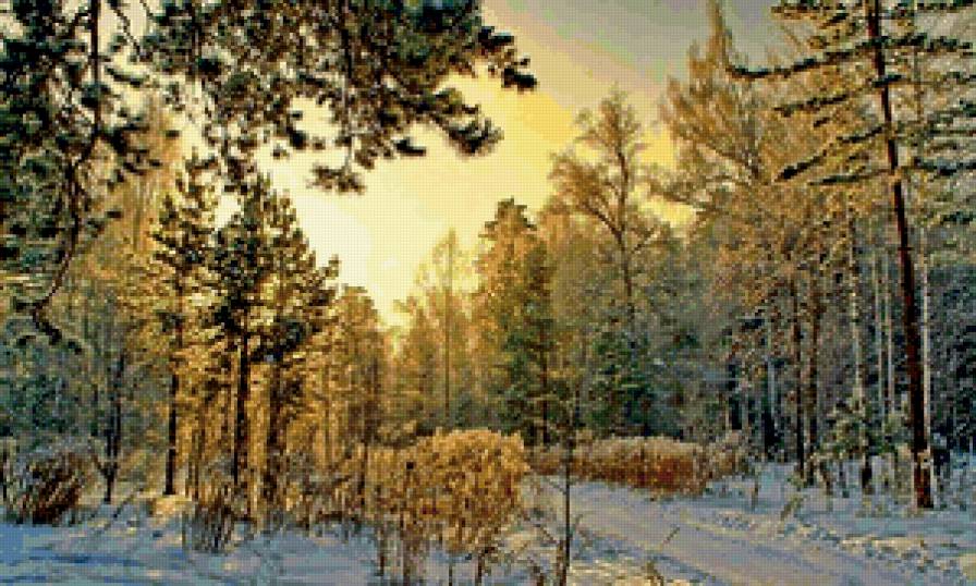 зимний лес в Сибири - сибирь, зима, лес - предпросмотр