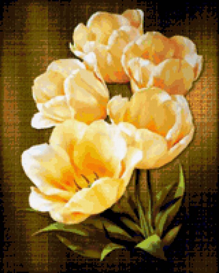 Tulipán - предпросмотр