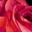 Предпросмотр схемы вышивки «Розы» (№235620)