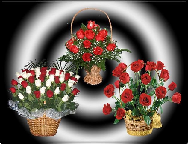 Розы - цветы - оригинал