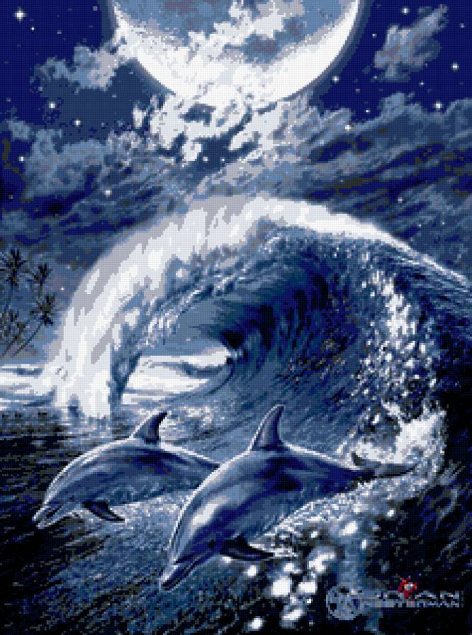 дельфины - море, ночь, картина, дельфин, океан, пейзаж - предпросмотр