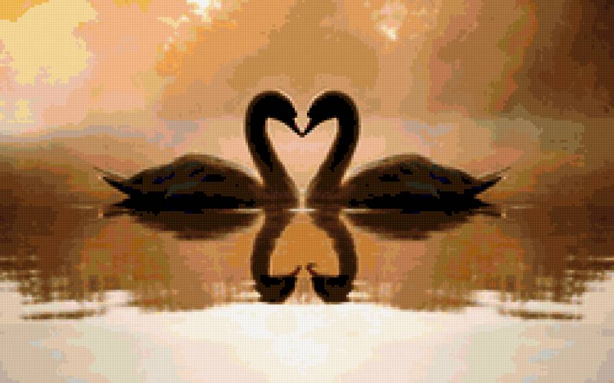 Любовь лебединая - любовь, верность, лебеди - предпросмотр
