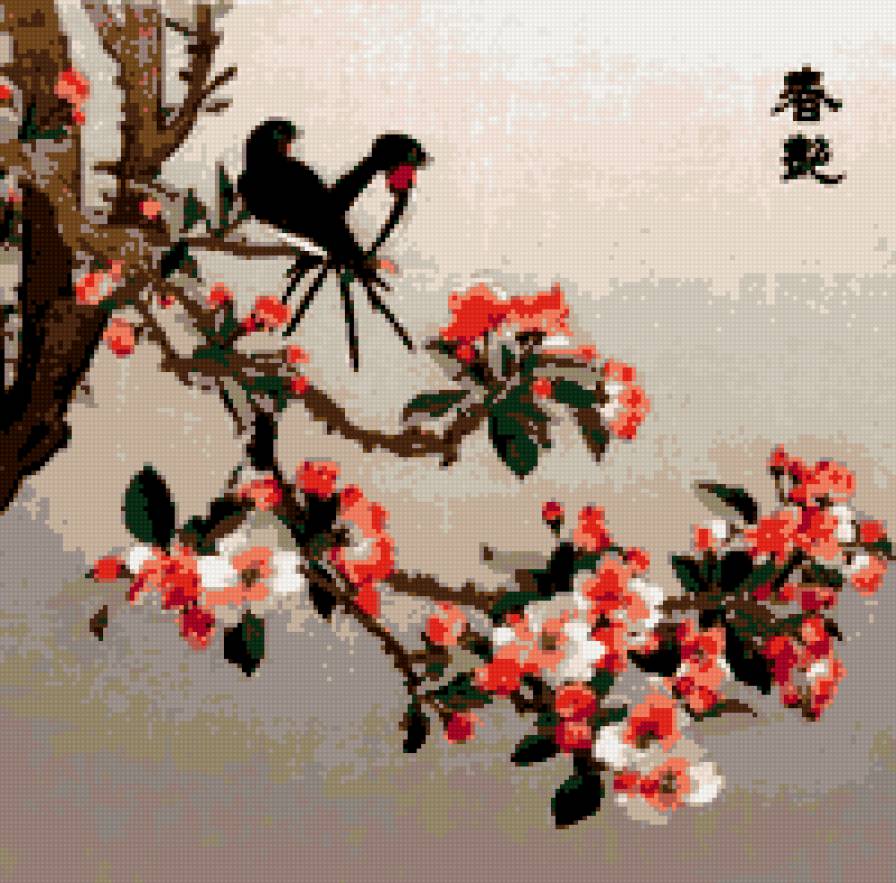 Ветка цветущей сакуры - ветка, сакура - предпросмотр