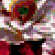 Предпросмотр схемы вышивки «Букет маков» (№235912)