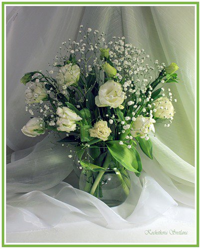 нежность - букет, цветы, нежность - оригинал