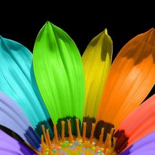 Схема вышивки «цветик семицветик»