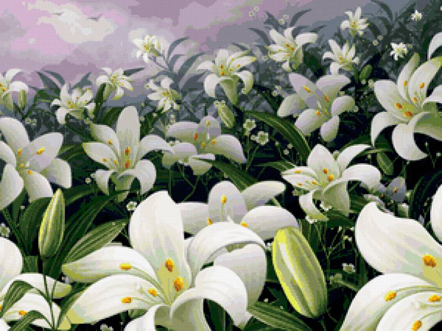 белые лилии - лето, лилии, природа, букет, фауна, цветы, картина - предпросмотр