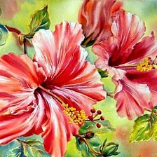 Схема вышивки «Гибискус»