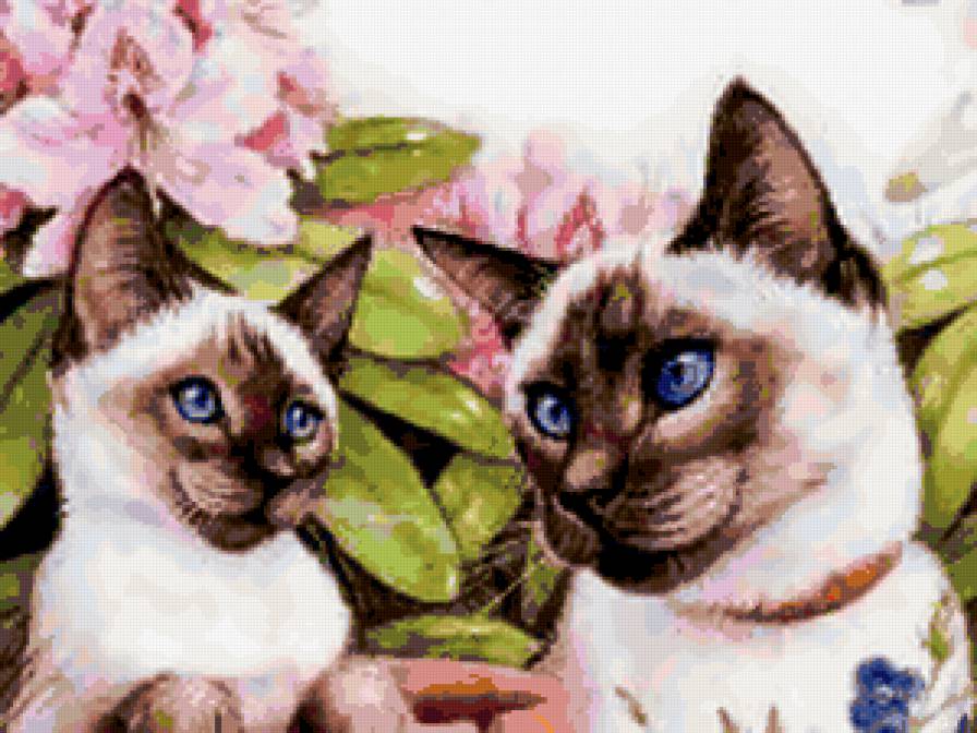 кошки - цветы, кошки, подушка - предпросмотр