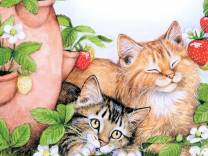 кошки - цветы, ягоды, кошки, подушка - оригинал