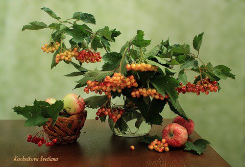 калина - натюрморт, ягоды, осень, калина, букет - оригинал