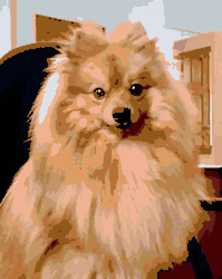 Тота 2 - предпросмотр