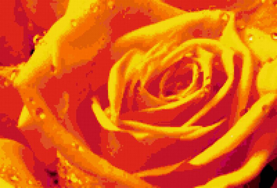 троянда - предпросмотр