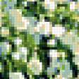 Предпросмотр схемы вышивки «Ландыши» (№236802)