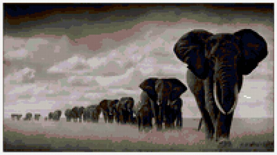Слоны - животные, африка - предпросмотр