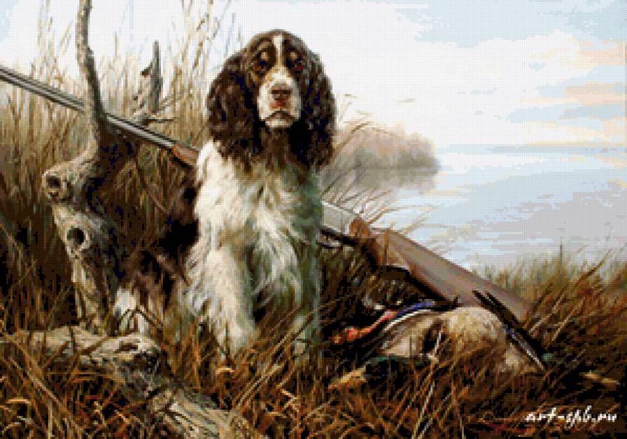 kutyus - предпросмотр