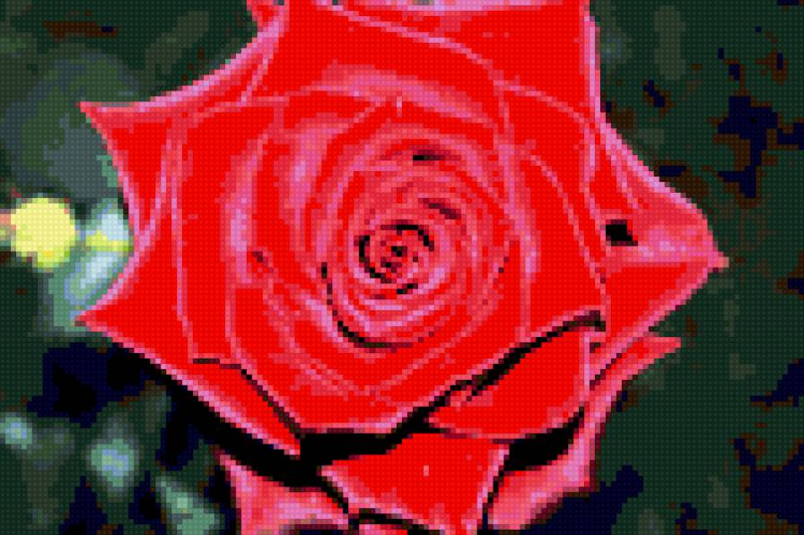 Роза 2 - предпросмотр