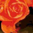 Предпросмотр схемы вышивки «Миллион роз» (№236971)