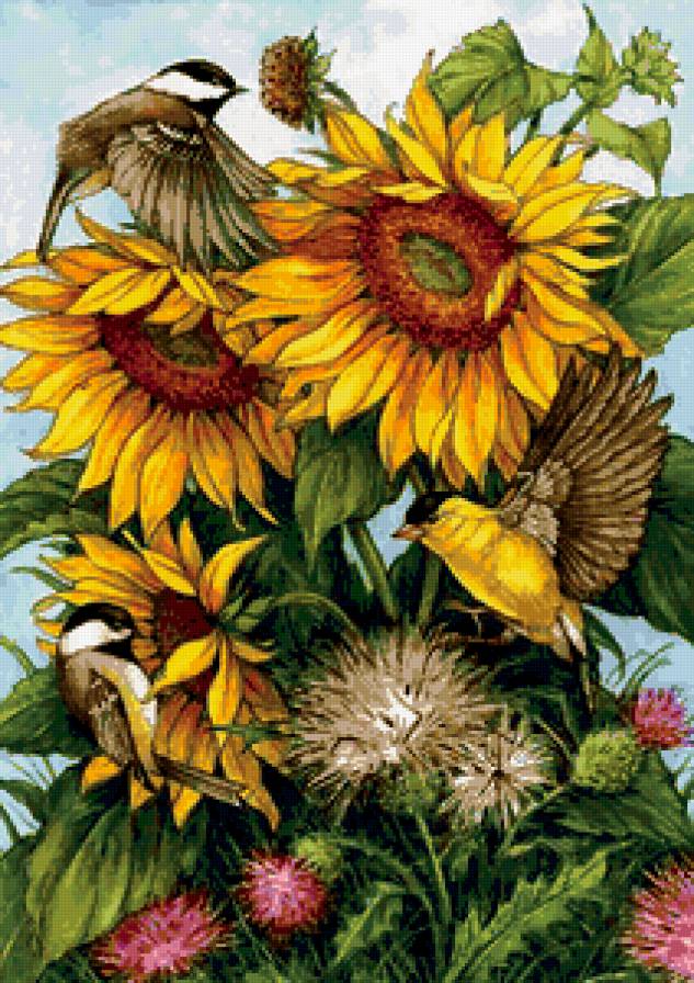 ПОДСОЛНУХИ - птички, лето, подсолнух, картина, времена года - предпросмотр
