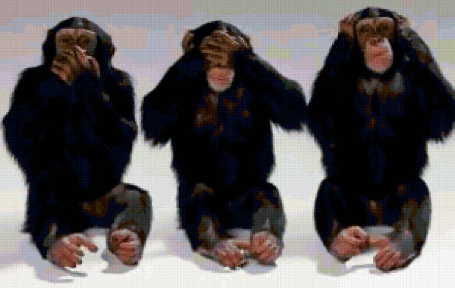 Молчу, не вижу и не слышу - обезьяна - предпросмотр