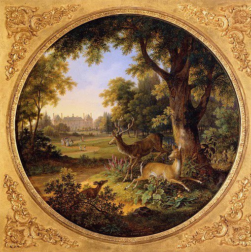 Олени - олень, природа, животные, рамка, пейзаж - оригинал